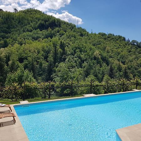 Il Bosco Di Campo Marzano Rooms & Apartments 보르조나사 외부 사진
