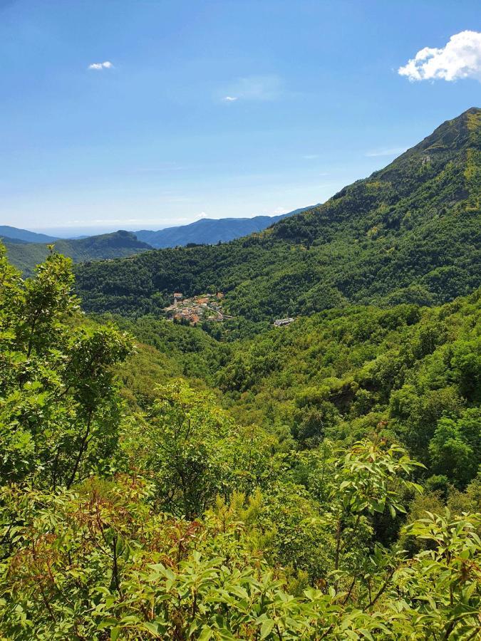 Il Bosco Di Campo Marzano Rooms & Apartments 보르조나사 외부 사진