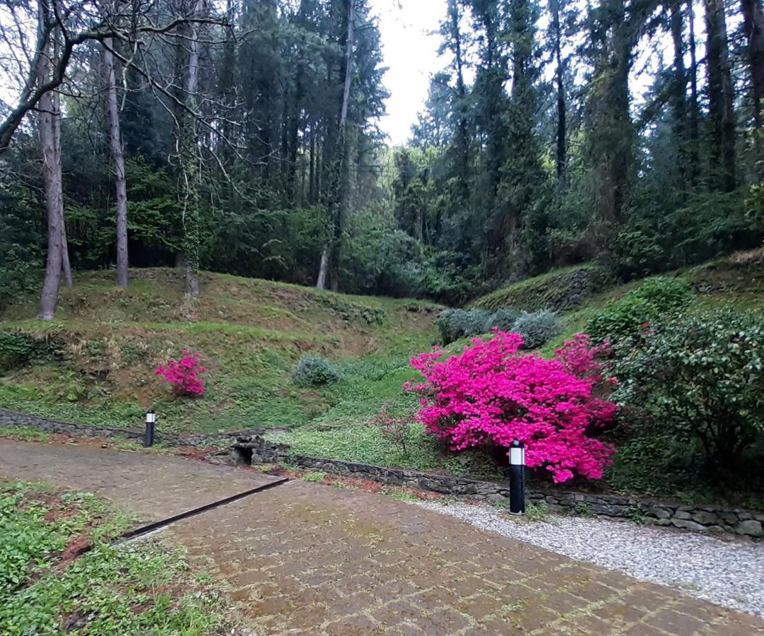 Il Bosco Di Campo Marzano Rooms & Apartments 보르조나사 외부 사진