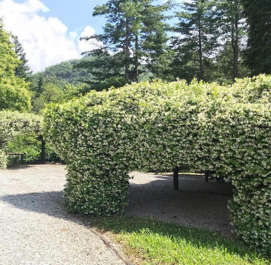 Il Bosco Di Campo Marzano Rooms & Apartments 보르조나사 외부 사진