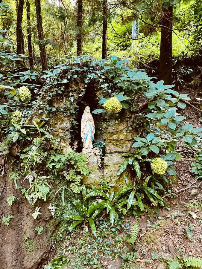 Il Bosco Di Campo Marzano Rooms & Apartments 보르조나사 외부 사진