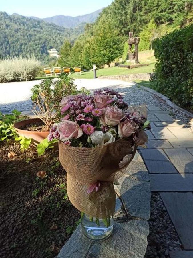 Il Bosco Di Campo Marzano Rooms & Apartments 보르조나사 외부 사진