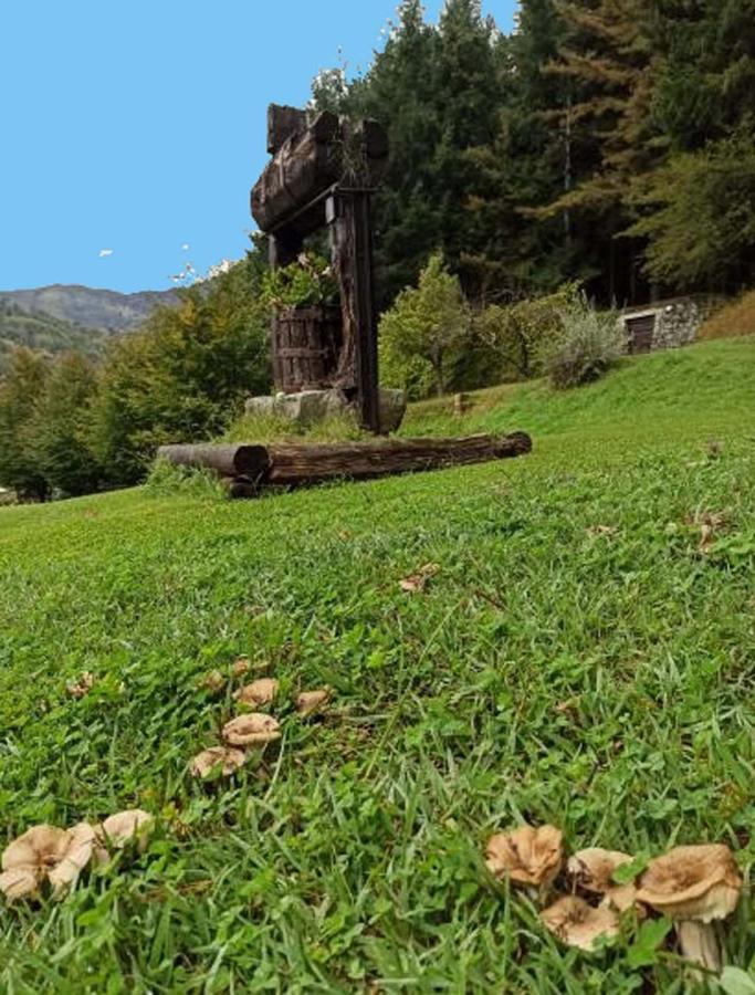 Il Bosco Di Campo Marzano Rooms & Apartments 보르조나사 외부 사진