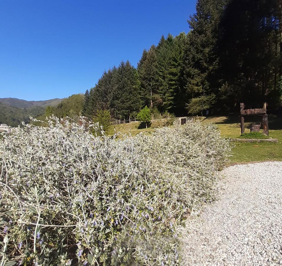 Il Bosco Di Campo Marzano Rooms & Apartments 보르조나사 외부 사진