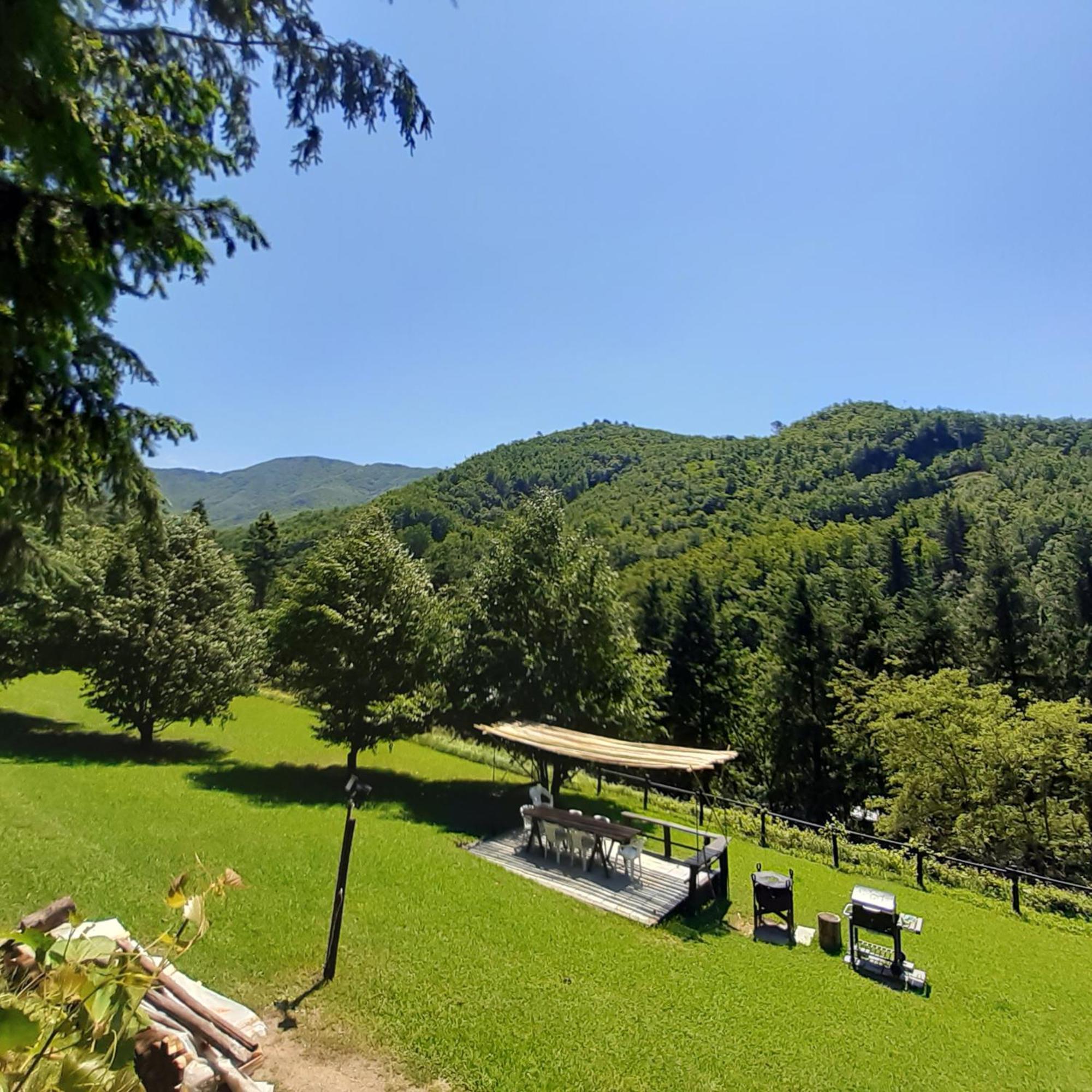 Il Bosco Di Campo Marzano Rooms & Apartments 보르조나사 외부 사진