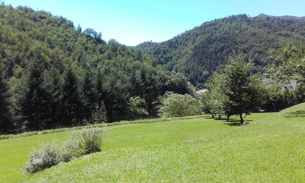 Il Bosco Di Campo Marzano Rooms & Apartments 보르조나사 외부 사진
