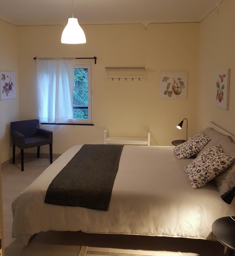 Il Bosco Di Campo Marzano Rooms & Apartments 보르조나사 외부 사진