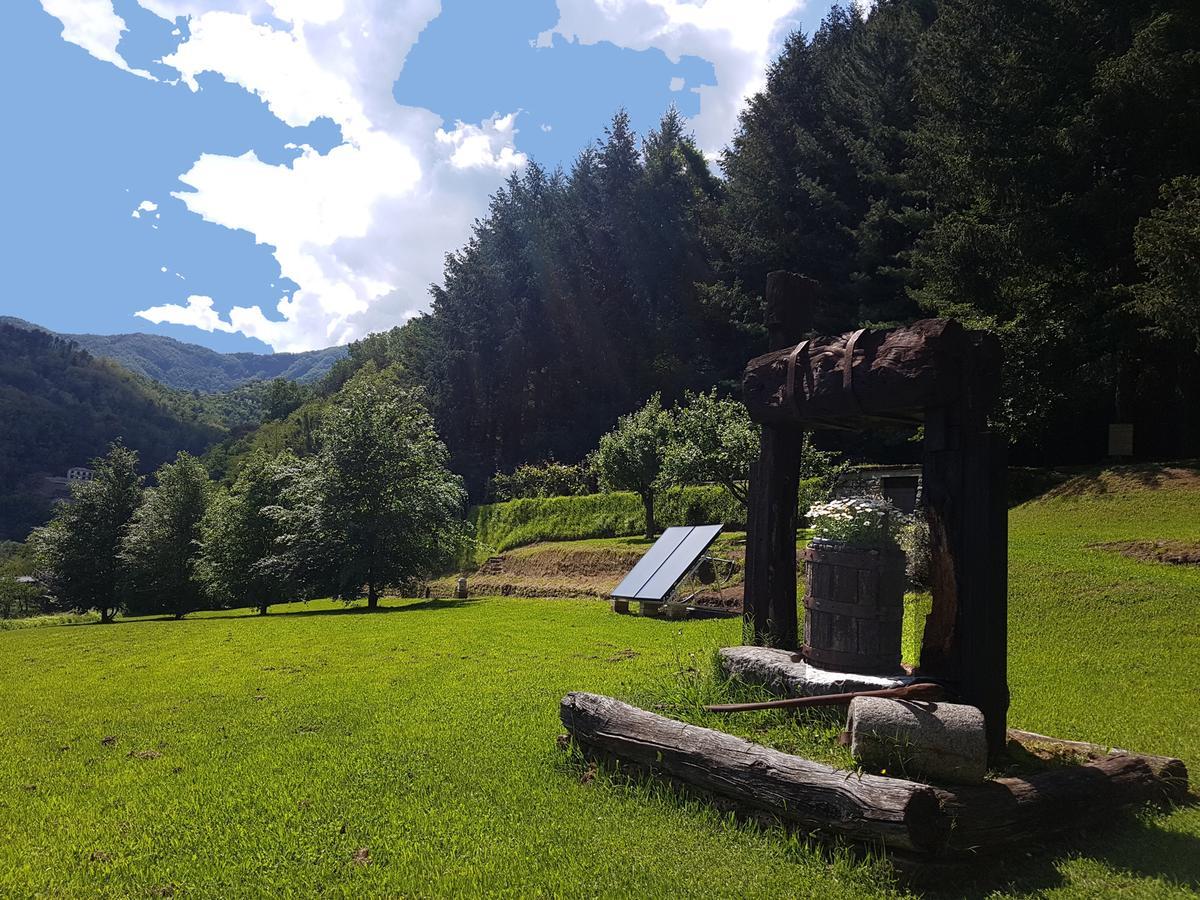 Il Bosco Di Campo Marzano Rooms & Apartments 보르조나사 외부 사진