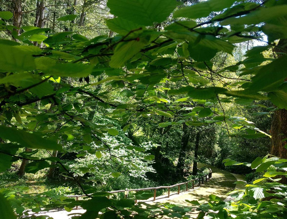 Il Bosco Di Campo Marzano Rooms & Apartments 보르조나사 외부 사진