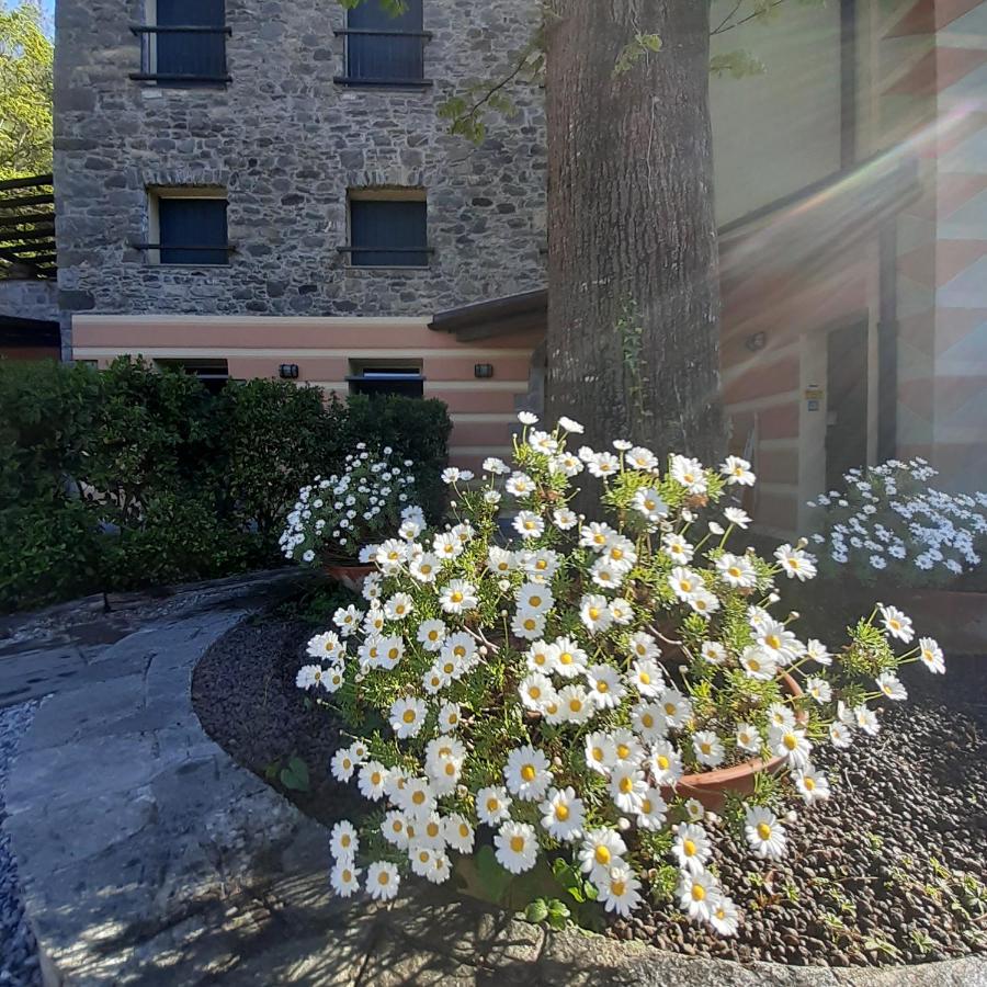 Il Bosco Di Campo Marzano Rooms & Apartments 보르조나사 외부 사진