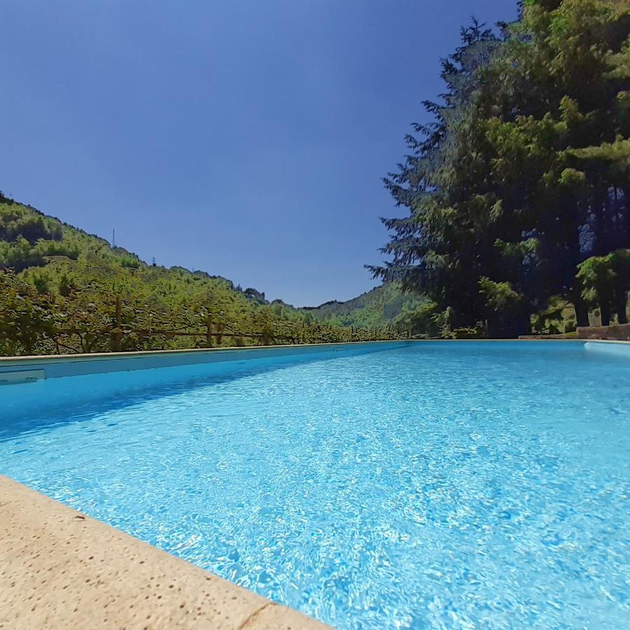 Il Bosco Di Campo Marzano Rooms & Apartments 보르조나사 외부 사진