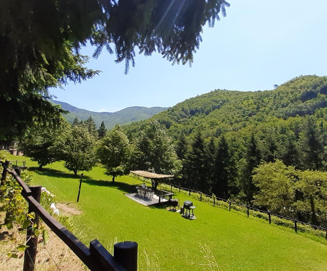Il Bosco Di Campo Marzano Rooms & Apartments 보르조나사 외부 사진